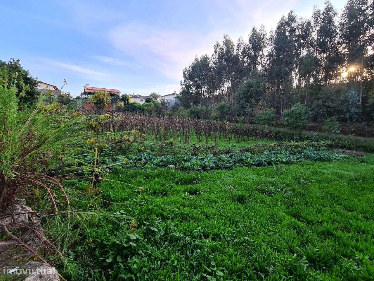 Terreno com Viabilidade de Construção de Moradias-1