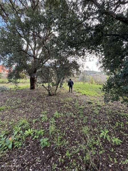 Lote terreno Vila de Rei - Grande imagem: 4/6