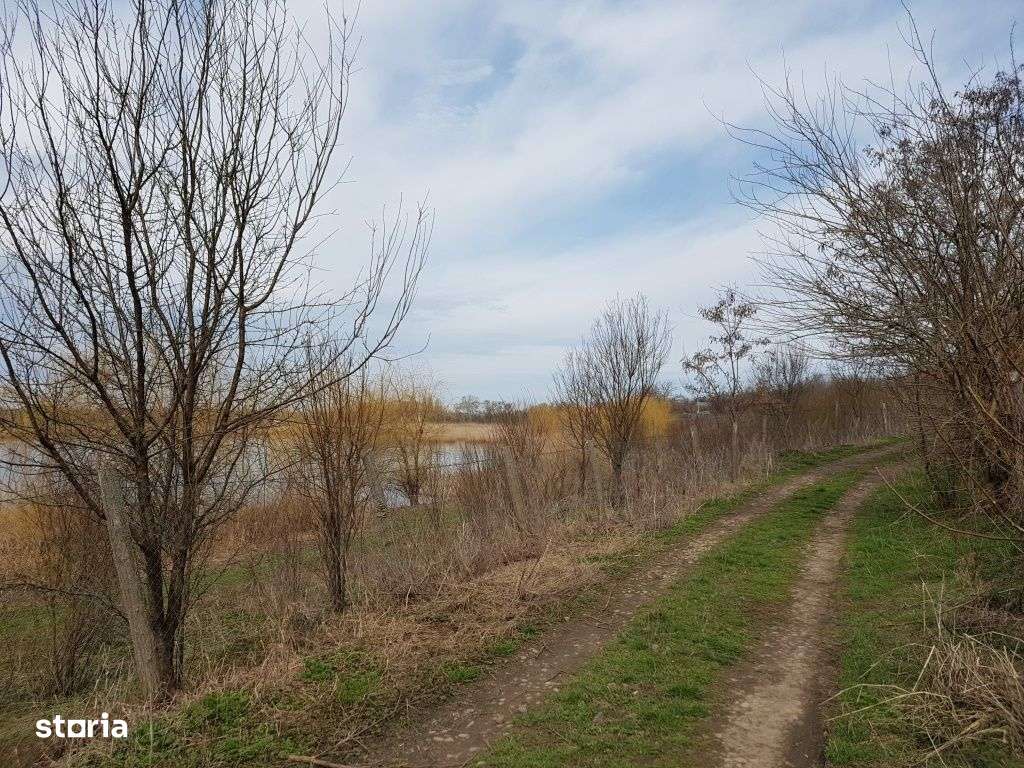 Vanzare teren intravilan, Lacul Sarulesti, 1.000 mp, comision 0% - Imagine principală: 4/6