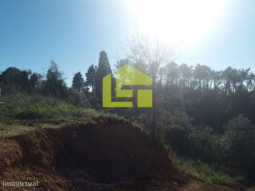 Terreno - Grande imagem: 5/5