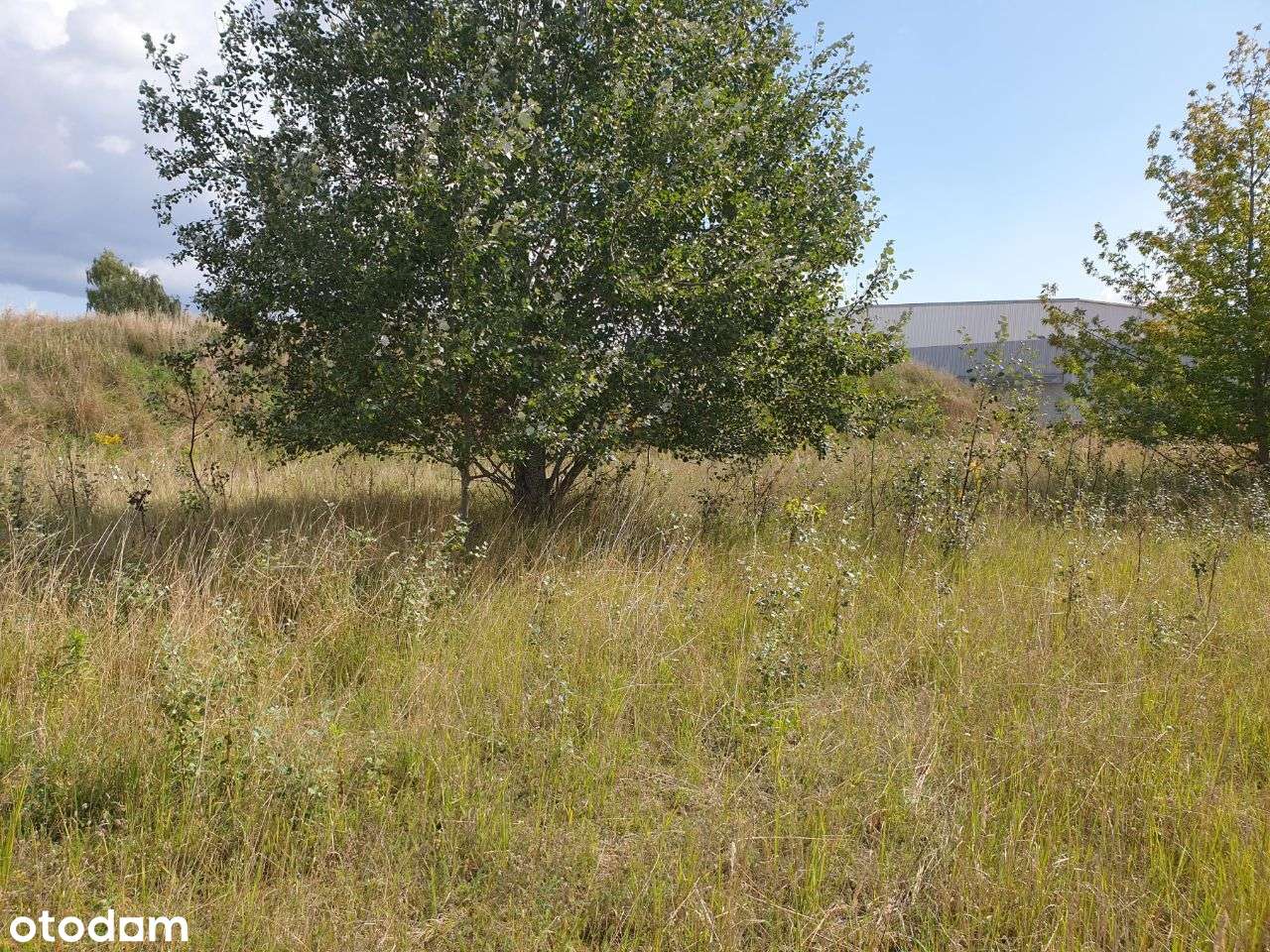 Zabudowa wielorodzinna + usługi _ MPZP "4MW/U"-9