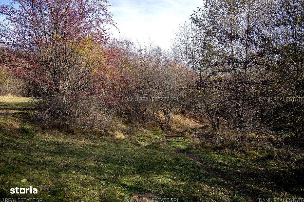 Comision0Teren intravilan 5723mp Zarnesti Tohanita-investitie - turism-9