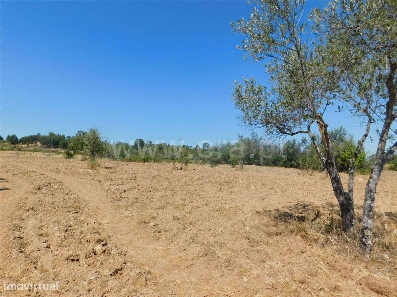 Quinta / Fundão, Quintas da Torre - Grande imagem: 4/7