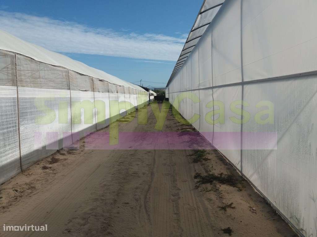 Moradia Ruina junto BA6 Montijo inserida em terreno c/ 3 ha-14