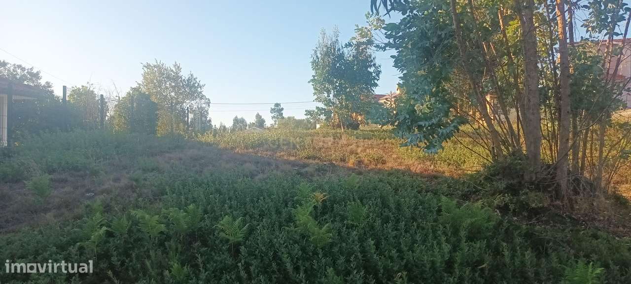 Terreno com Projeto Aprovado em Barcouço, Mealhada - Vista Panorâmica - Grande imagem: 5/9