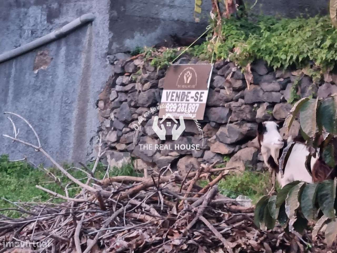 Terreno Ribeira brava - Grande imagem: 4/6