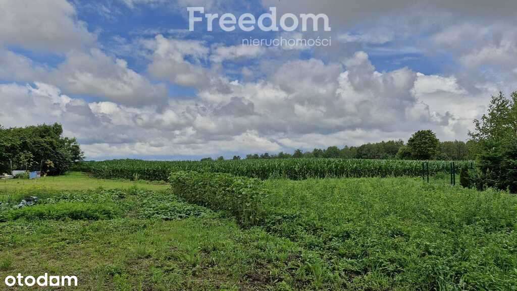 Działka 5 710 m² – przestrzeń i natura - Pełny obrazek: 5/11