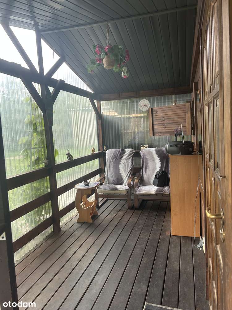 Zjawiskowa działka ROD na Czyżkówku. - Pełny obrazek: 3/14