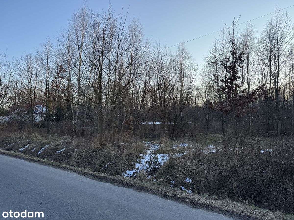 Atrakcyjna działka w Rudzińcu-1