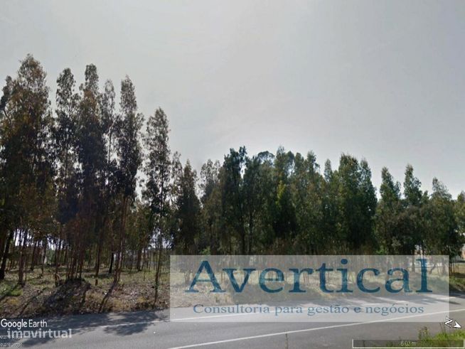 Terreno com 3 entradas - 70.000m2-5