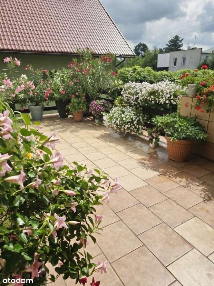 Dom wolnostojący w Mirkowie, cicho i zielono-15