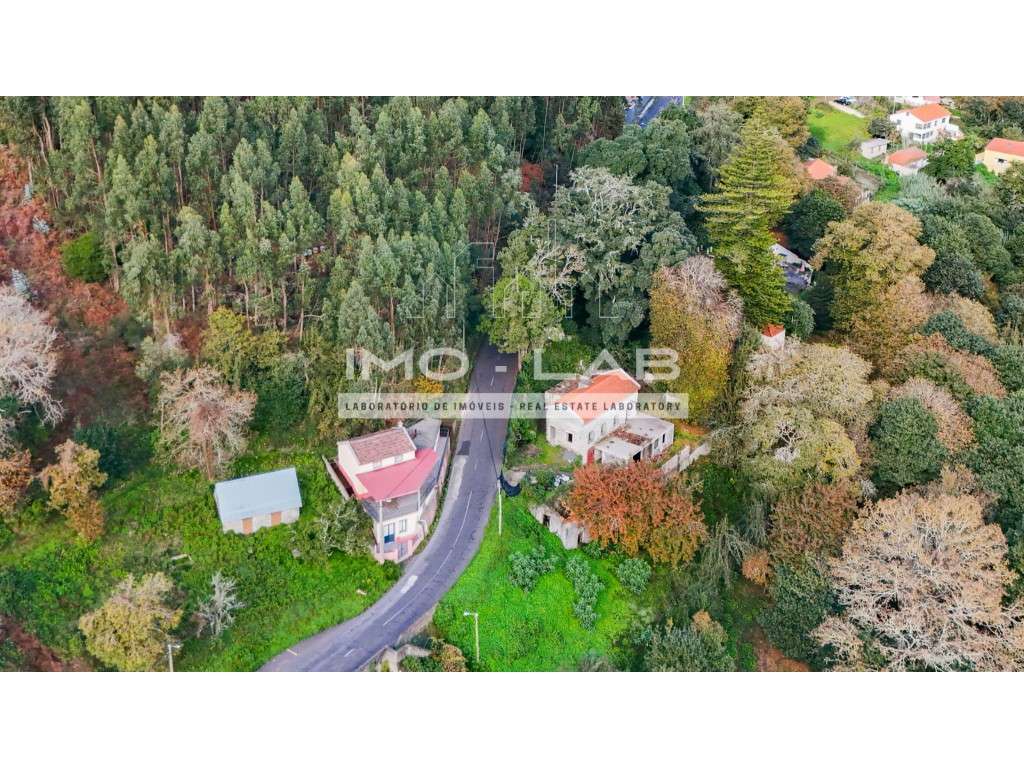 Villa T2 + T1 - Camacha - Ilha da Madeira - Grande imagem: 4/38