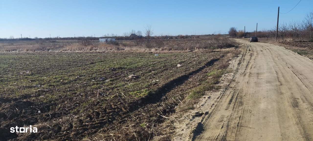 Teren ideal constructii rezidentiale Mogosesti ( Adunatii Copaceni ) - Imagine principală: 5/5