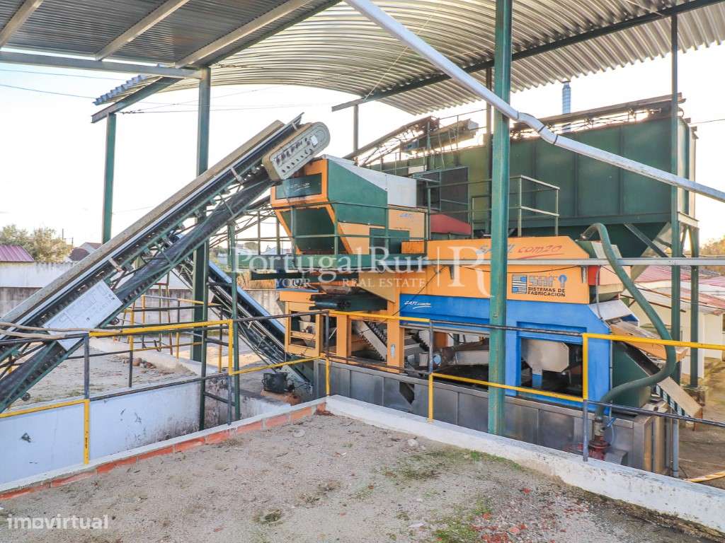 Unidade Industrial de Produção de Azeite & Elevado Potencial Produtivo-44