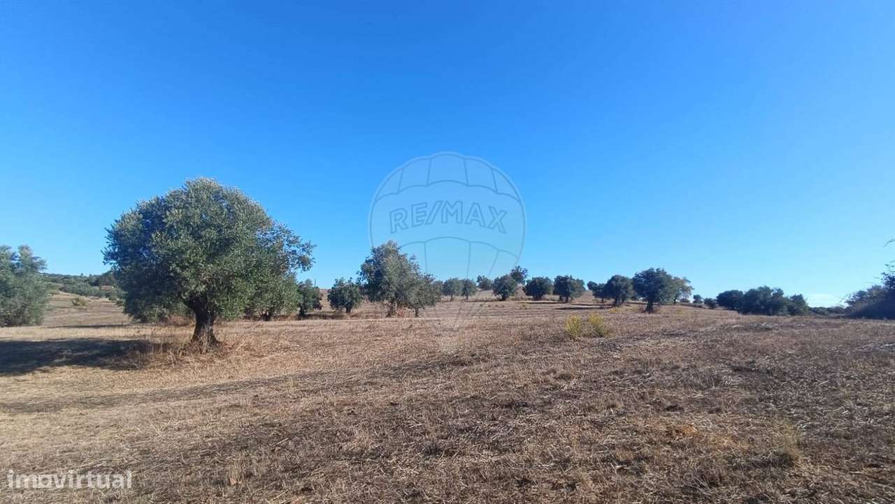 Terreno  para venda - Grande imagem: 5/16