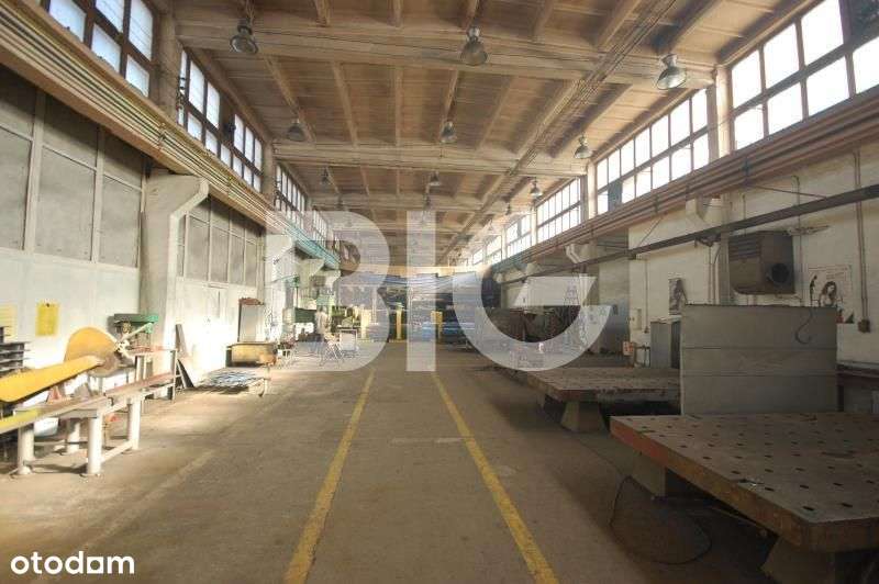 Hala produkcyjna Pruszcz Gdański - Pełny obrazek: 5/10