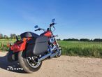 Harley-Davidson Sportster Custom 1200C - 5