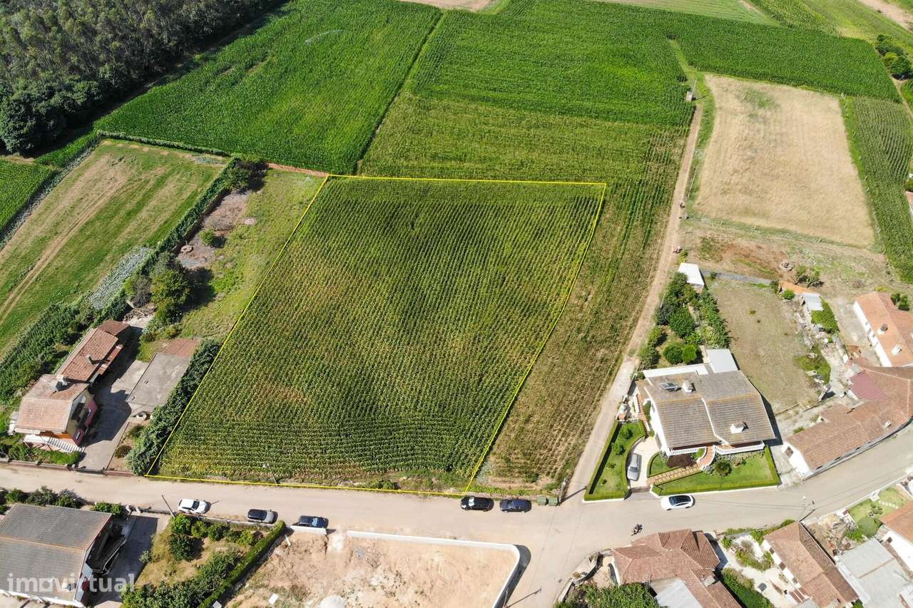 Terreno Estratégico Próximo da A1 e A29-21