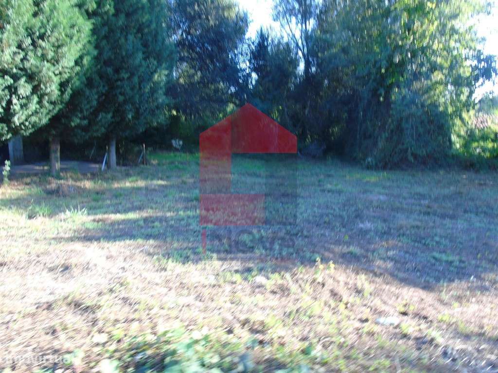 Terreno agrícola, Lage - Grande imagem: 4/4