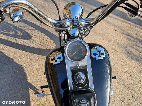 Harley-Davidson Softail Standard - 14