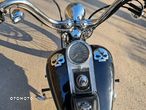 Harley-Davidson Softail Standard - 14