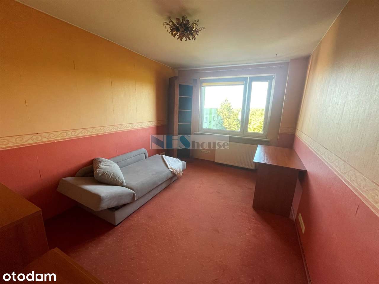 Pełen rozkład, tramwaj!-4