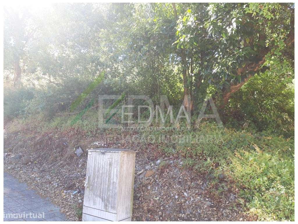 Lotes, Gondomar - Grande imagem: 4/4