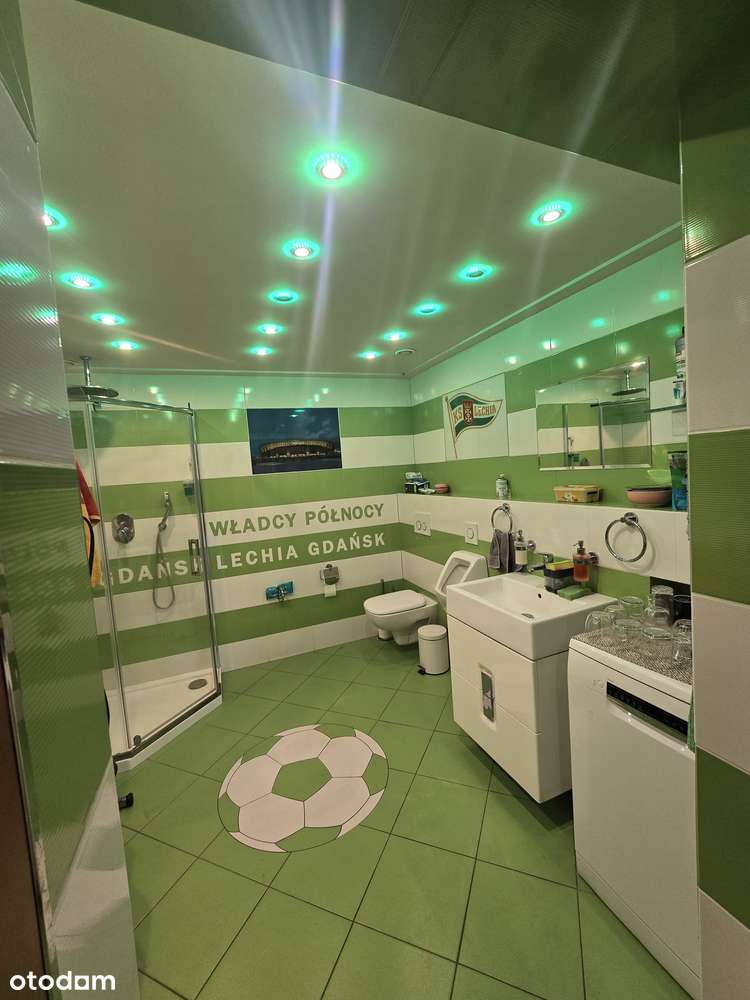 Komfortowy i wielofunkcyjny lokal mieszkalny + lokal użytkowy-12