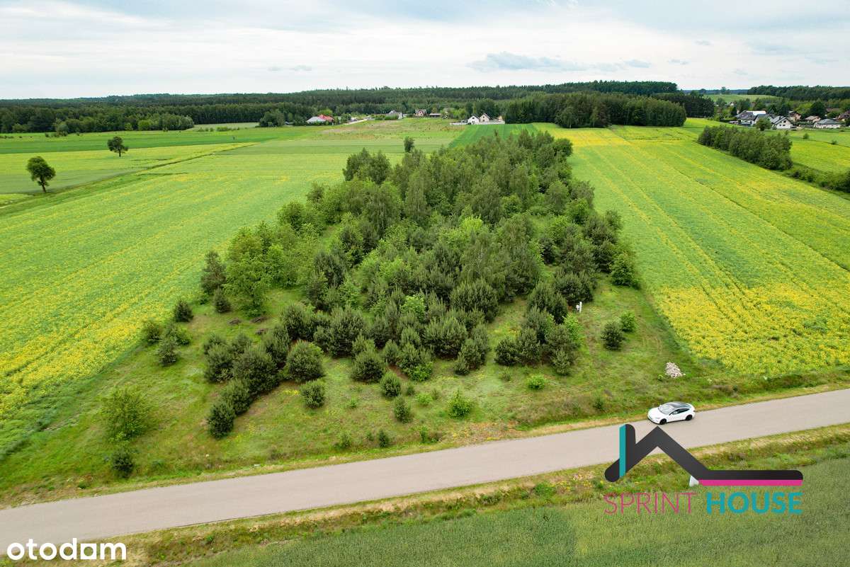 Budowlana Z Podłączonym Prądem - Szkolna Ugniewo - Pełny obrazek: 5/12