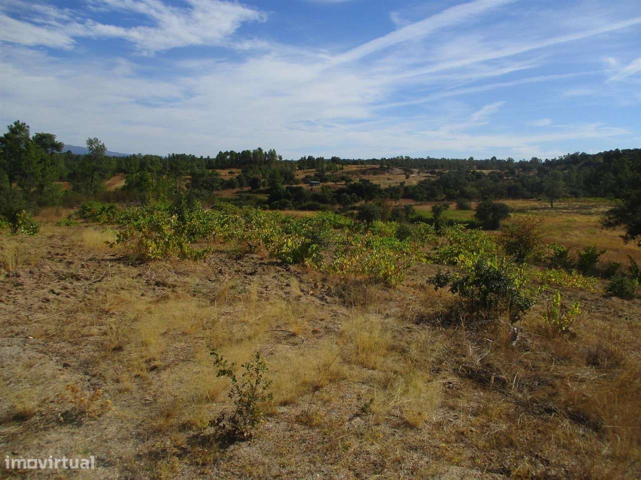 Terreno - Grande imagem: 3/9