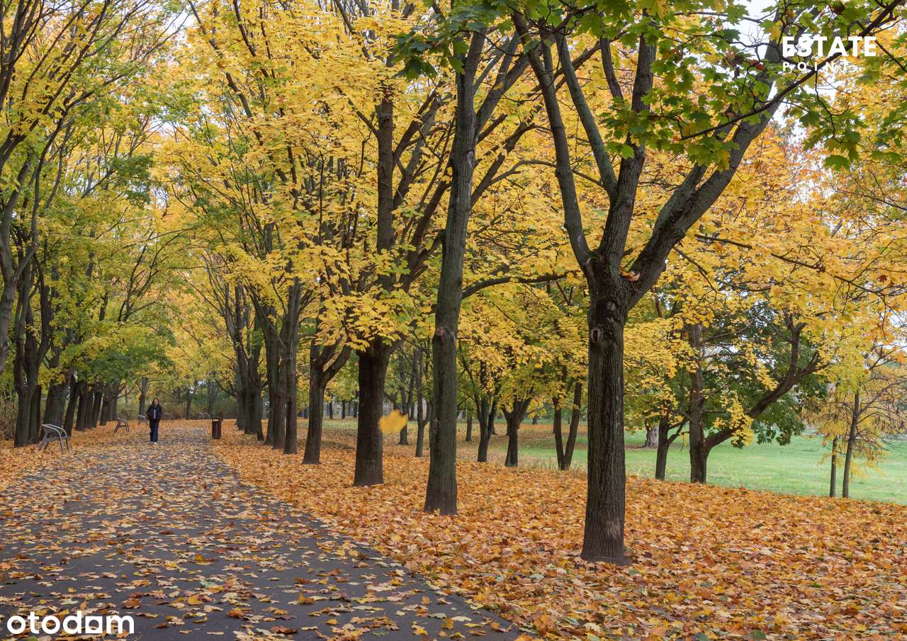 Eleganckie mieszkanie z garderobą i dwiema łazienkami-17