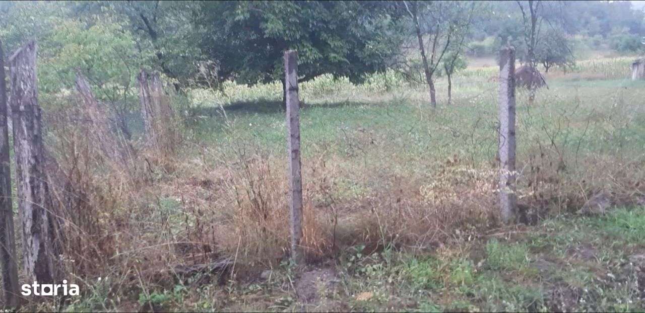 Vand teren intravilan foarte mare Loc. Buceava, Com. Gurahont 6700 m2. - Imagine principală: 2/9