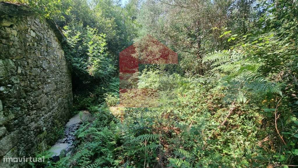 Moinho Paredes de Coura - Grande imagem: 2/14