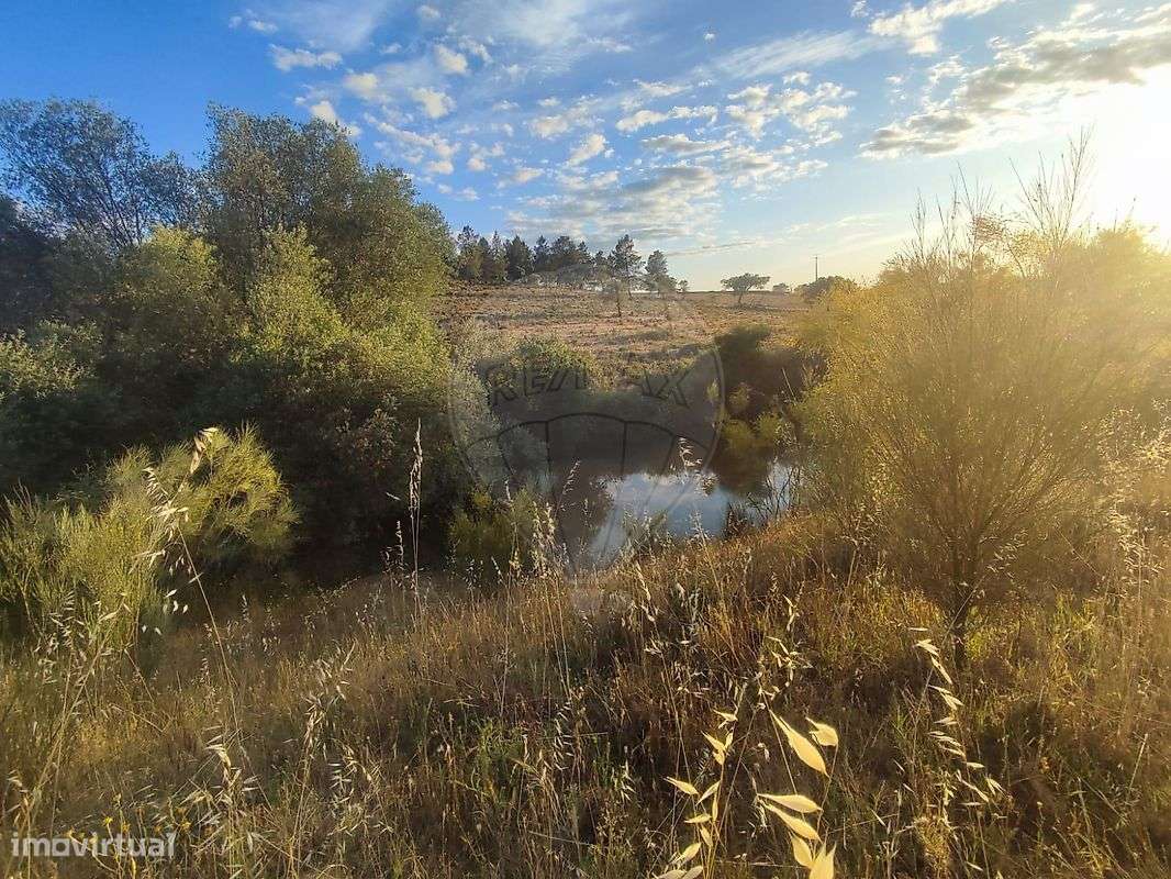 Quinta  para venda - Grande imagem: 5/43