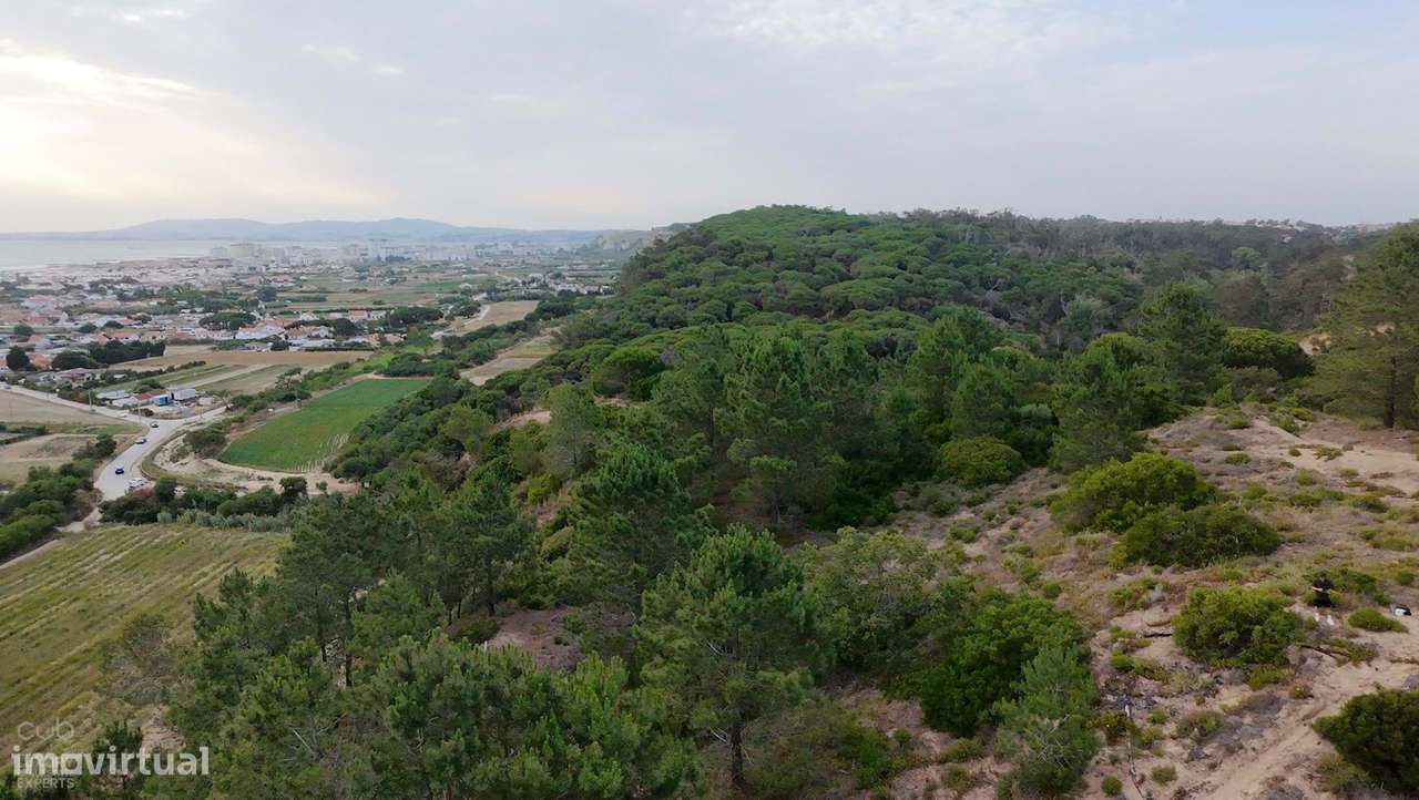 Terreno Rústico com Vista Mar e Potencial Ecológico-22
