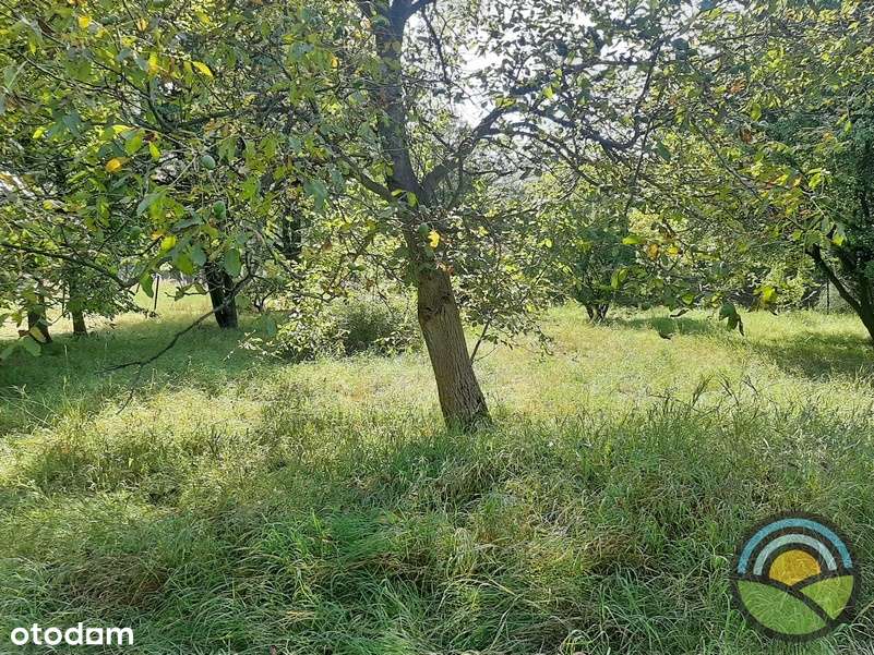 Płaska 18-arowa działka budowlana  k/Krakowa - Pełny obrazek: 4/10