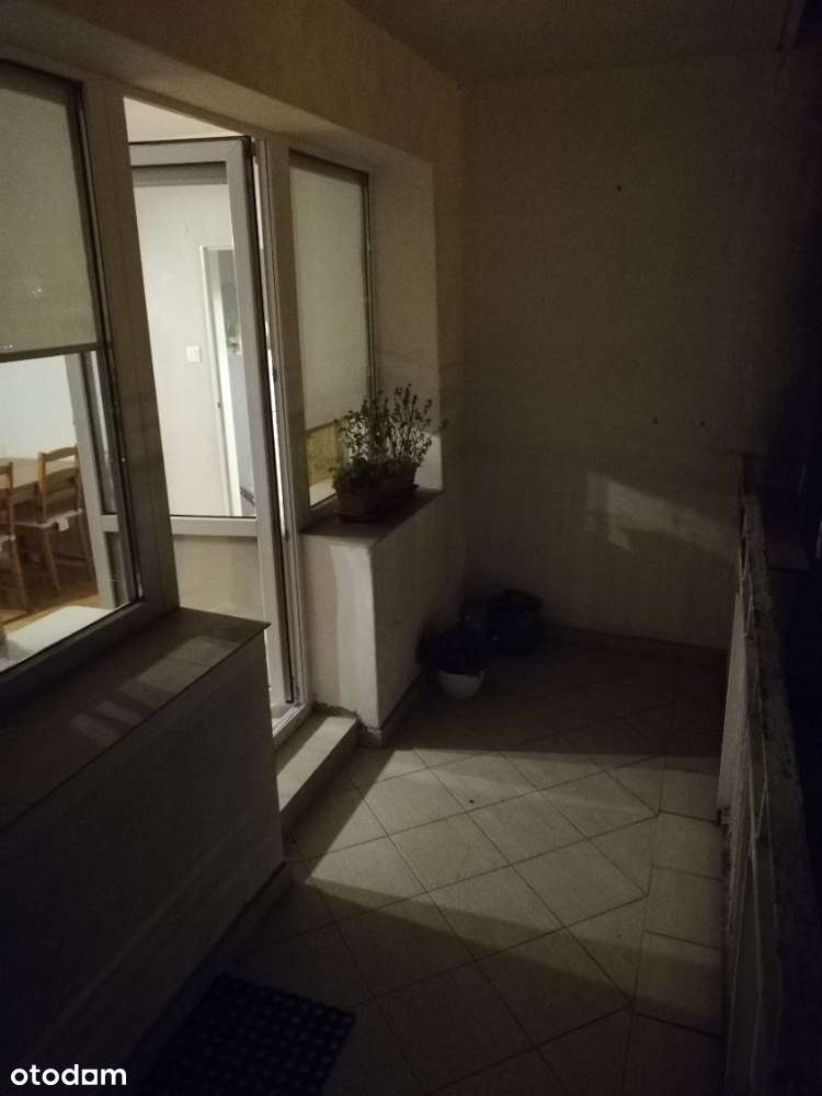 Gdańsk, Zaspa - Więcej