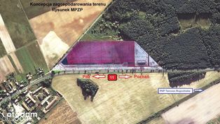 Grunt AG i Stacja benzynowa. Okolice Rogoźna. MPZP - Pełny obrazek: 4/17