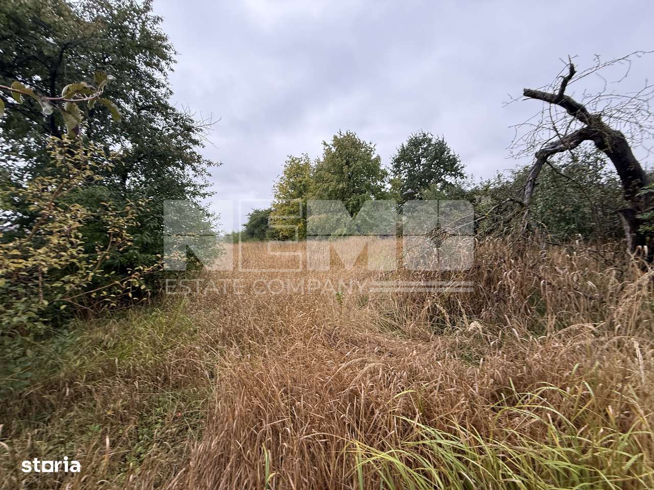 Casă + Teren 1556 mp | Zona Centrală | Front 16 m | 119.000 € - Imagine principală: 5/11