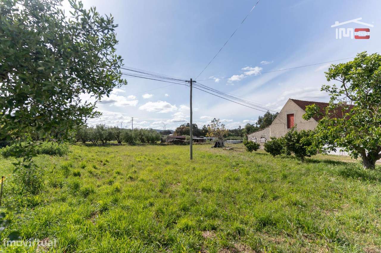 Terreno Rústico com viabilidade de construção em Casais de S. Mamed... - Grande imagem: 3/6