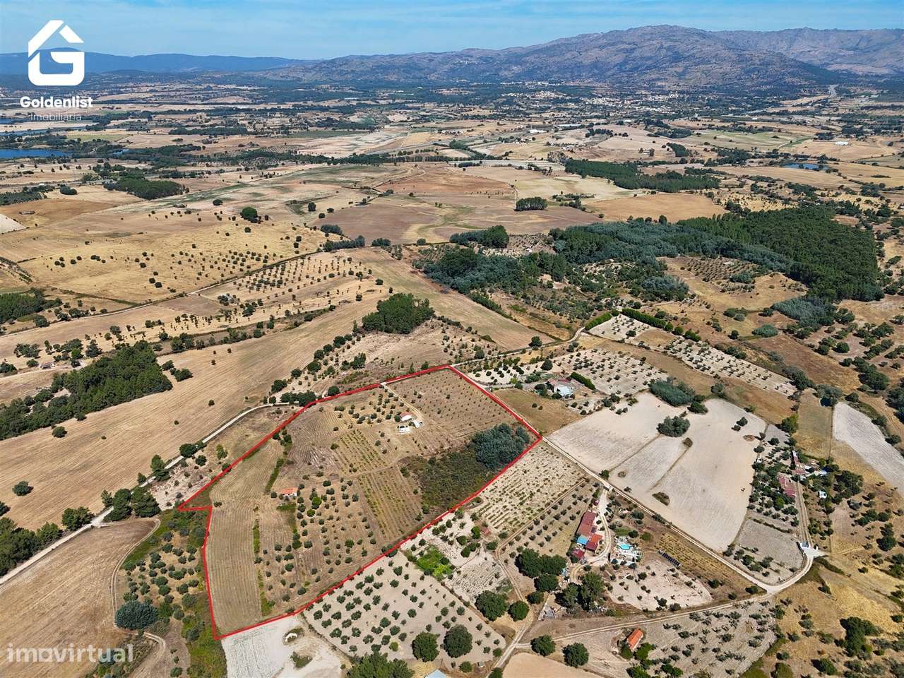 Quinta  Venda em Lardosa,Castelo Branco-5