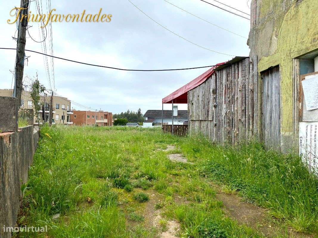 Moradia  Individual (Grijó) Santa Rita - Grande imagem: 5/8