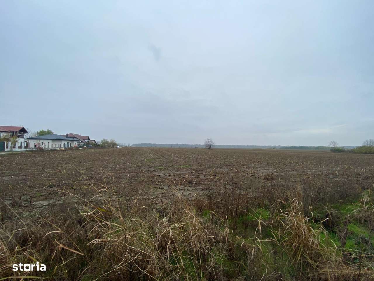 Teren intravilan Dascalu 18.500 mp – utilitati si drum asfaltat - Imagine principală: 3/4