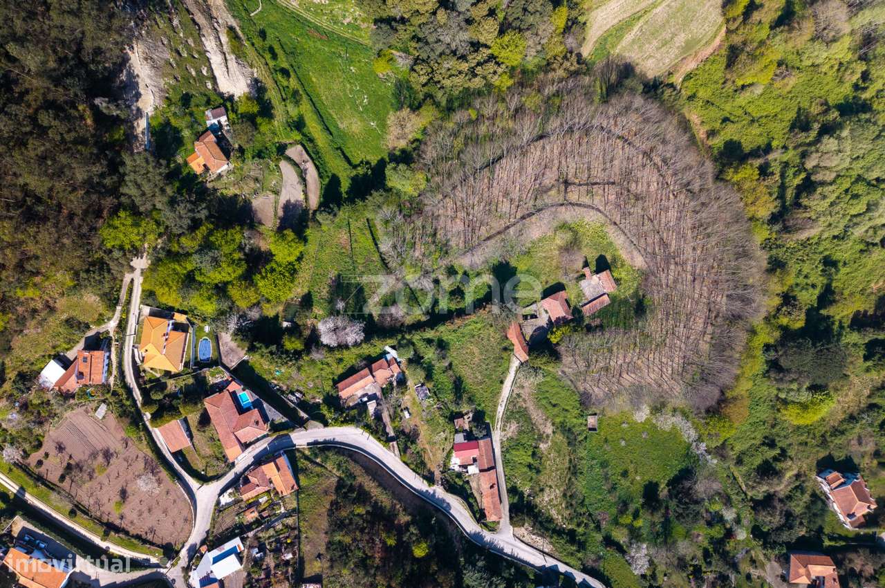 Quinta do Património: Um Legado Vivo no Vale do Mosteiro de Cete - Grande imagem: 3/27