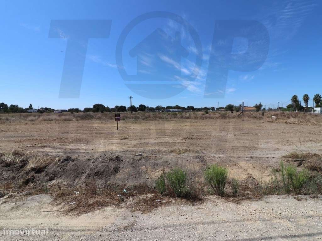 Lote Urbano - 57.500€ - Foros de Salvaterra - Grande imagem: 3/3