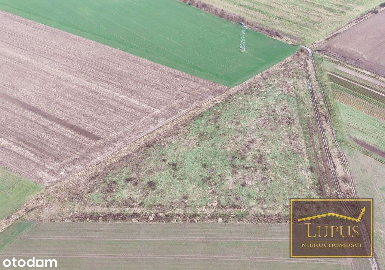 Działka rolna w Lubowie - Pełny obrazek: 5/11