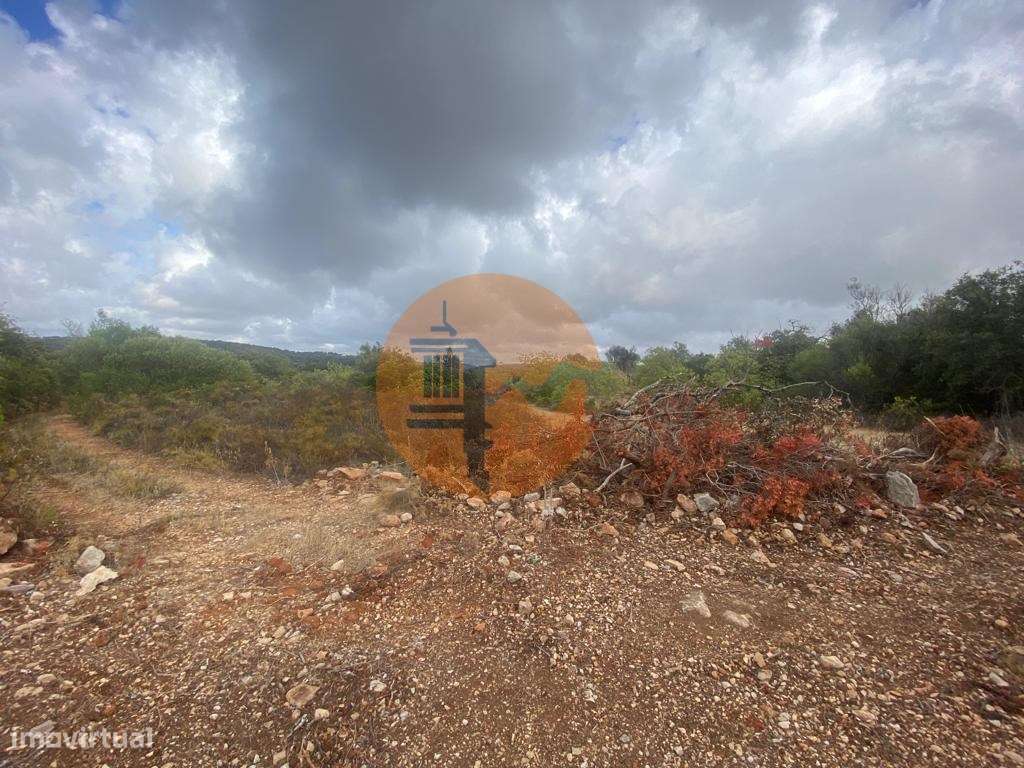 Terreno Misto - Grande imagem: 5/12