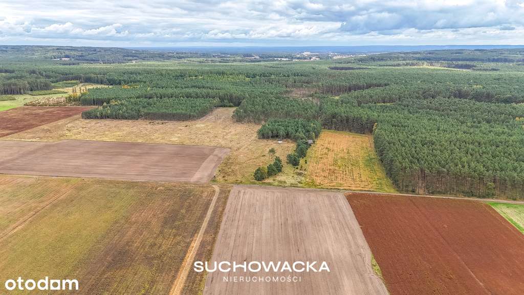 Działka rolna, 1,27 ha, Lipno, gm. Świdnica - Pełny obrazek: 4/7