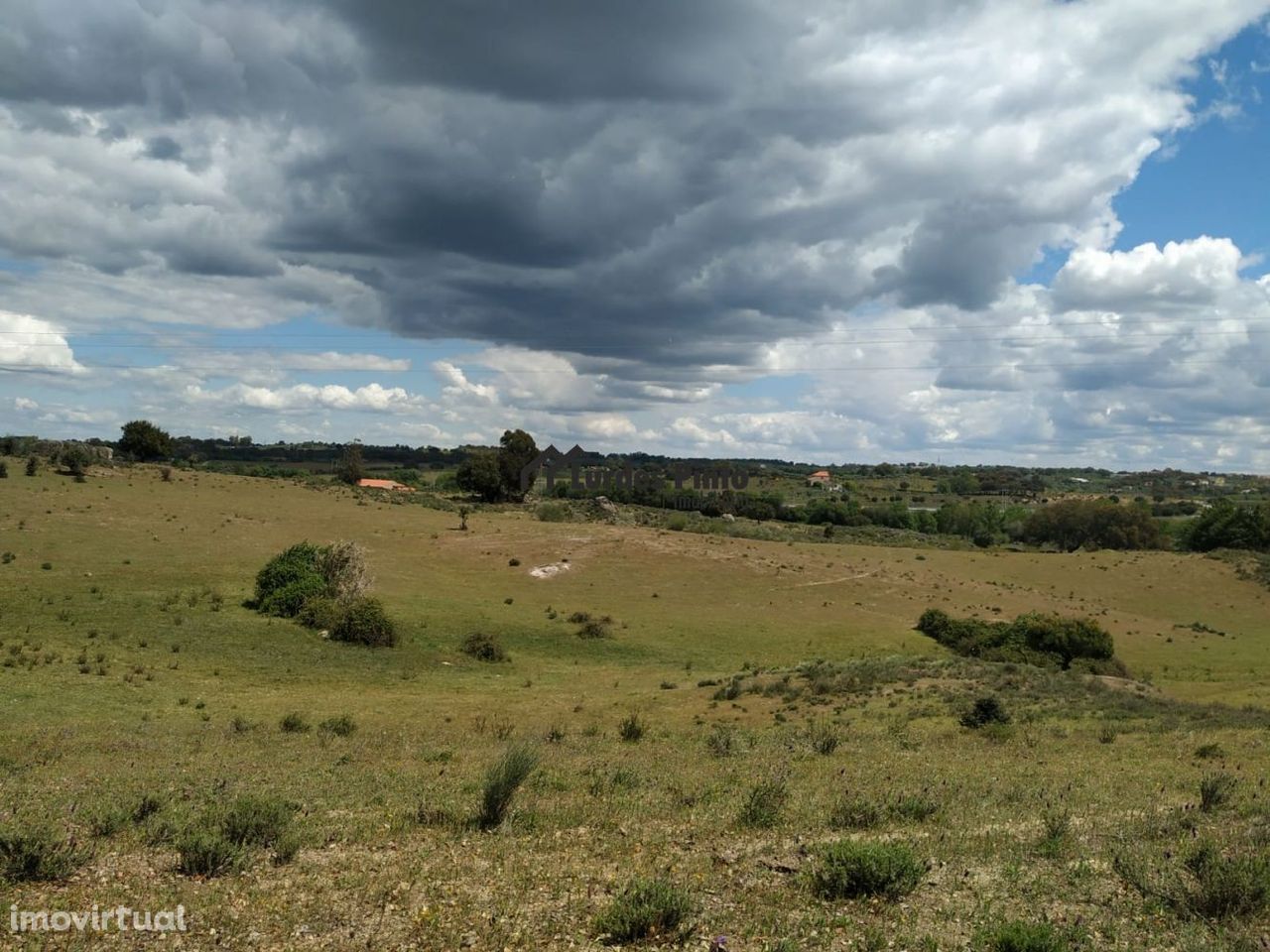 Terreno em Castelo Branco