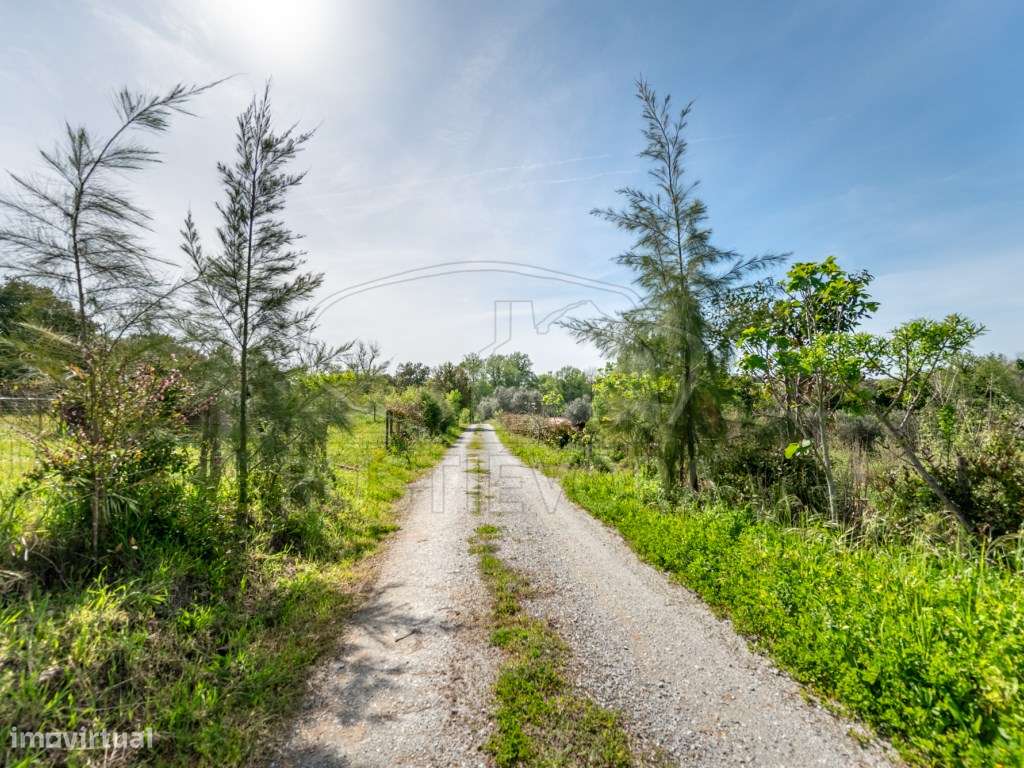 Quinta com duas casas, piscina, ribeira e AgroFloresta | Montemor-o...-14